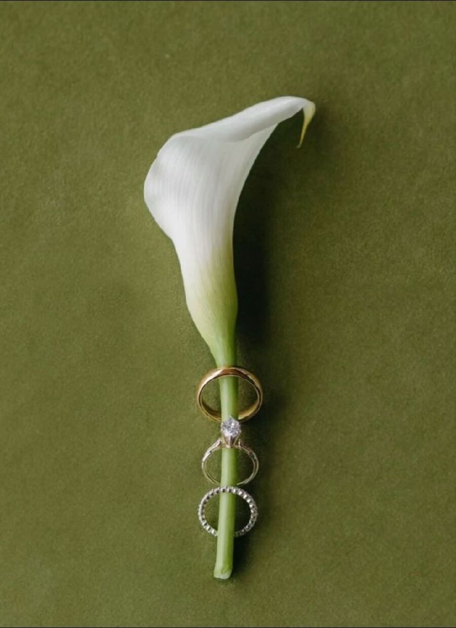 Calla Lilie mit Ringen
